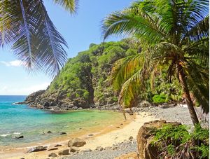 PRAIA DO CACHORRO