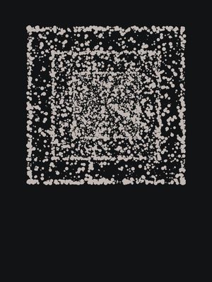 RECTANGLE PARTICLES