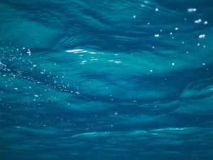 THE BLUE SEA