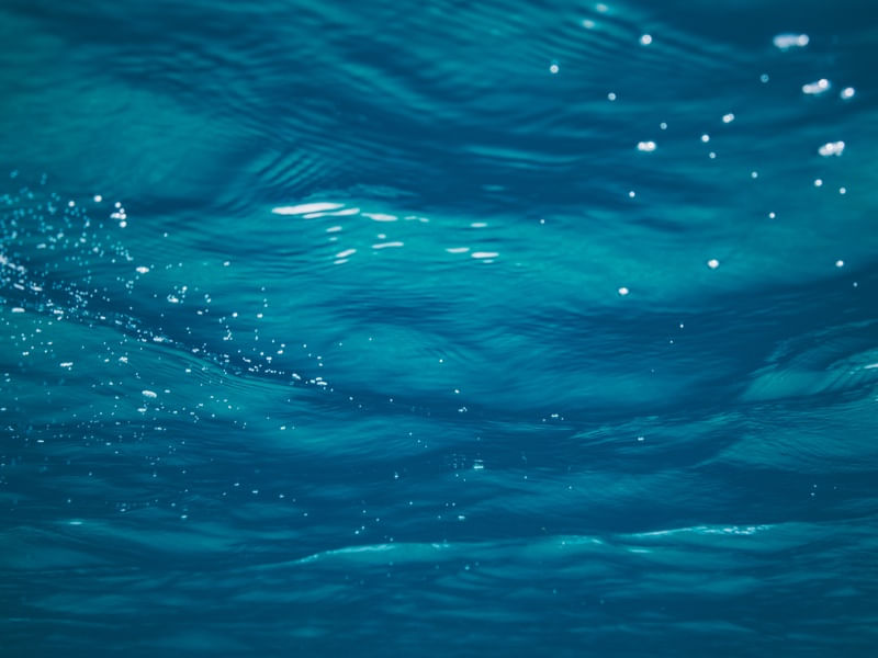 THE BLUE SEA