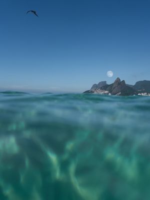 IPANEMA ARPOADOR