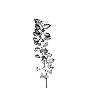 BOTANICO FOLHAGEM 2