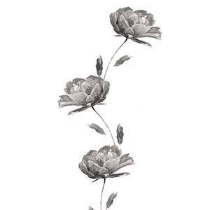 BOTANICO ROSAS