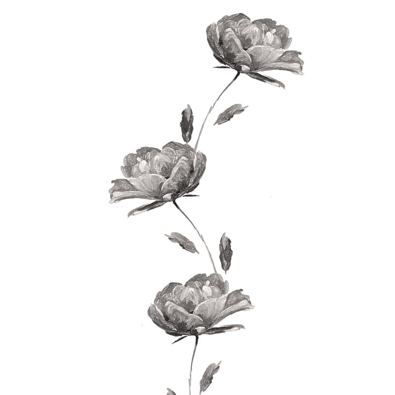 BOTANICO ROSAS