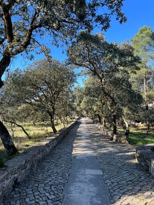 NOS CAMINHOS DE FÁTIMA PORTUGAL