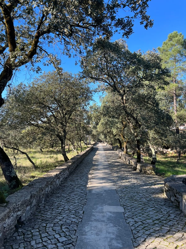 NOS CAMINHOS DE FÁTIMA PORTUGAL