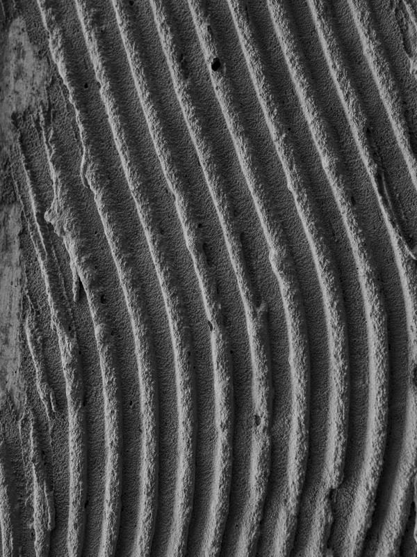 CURVAS DE CONCRETO - RETRATO PEB