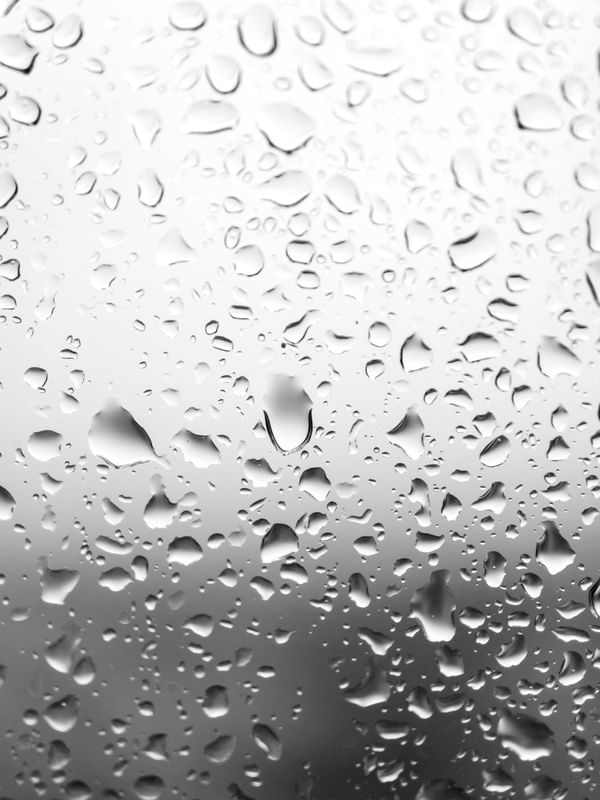 GRAY DAYS 1