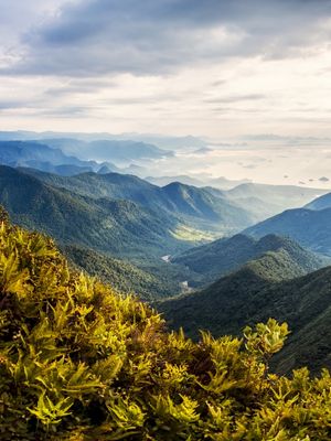 ONDE A MONTANHA ENCONTRA O MAR - SERRA DA BOCAINA