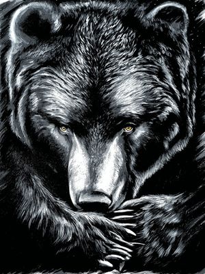 URSO MONTANHA VIVA