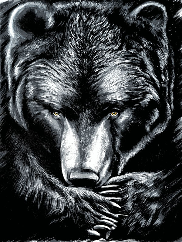 URSO MONTANHA VIVA