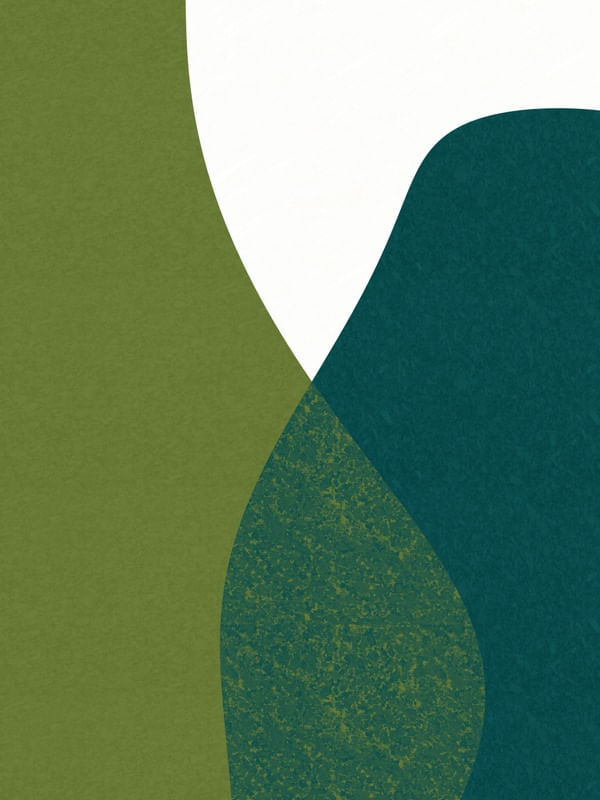 ARTE CONTORNOS MINIMALISTAS SÉRIE CORES TONS VERDE OP 06