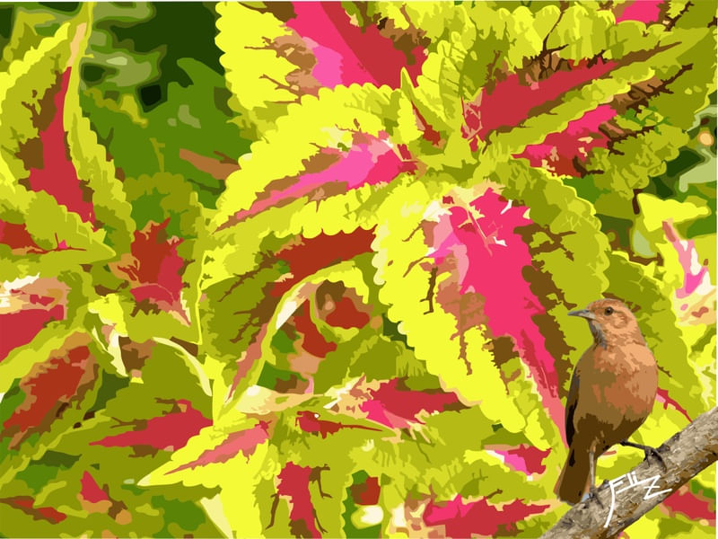 PASSARINHO E A FLOR