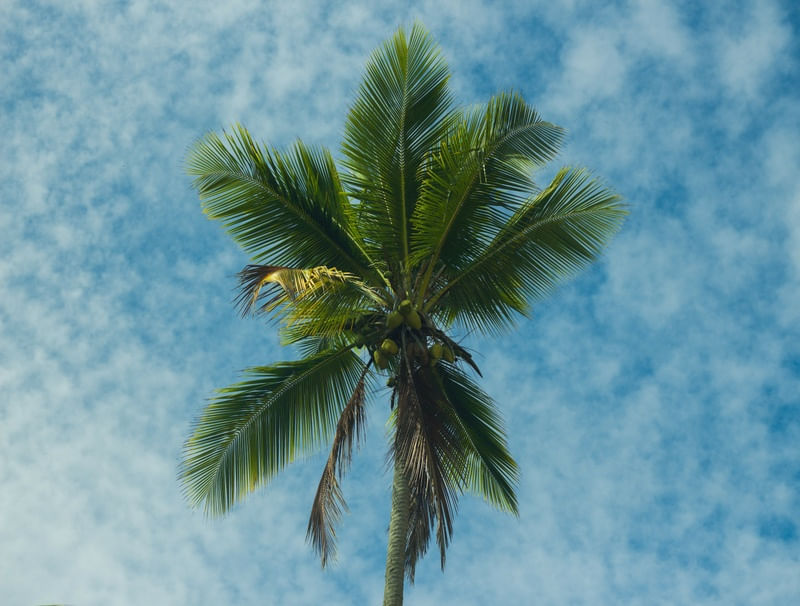 O CÉU DA BAHIA