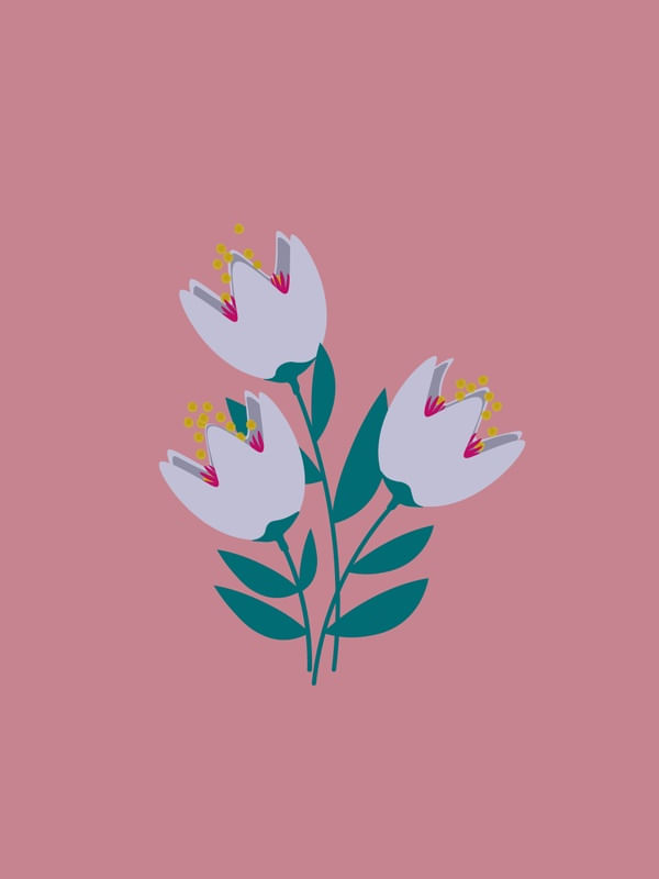 TULIPAS ROSADAS