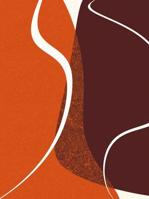 ARTE CONTORNOS MINIMALISTAS SÉRIE CORES TONS LARANJA MARROM OP 07