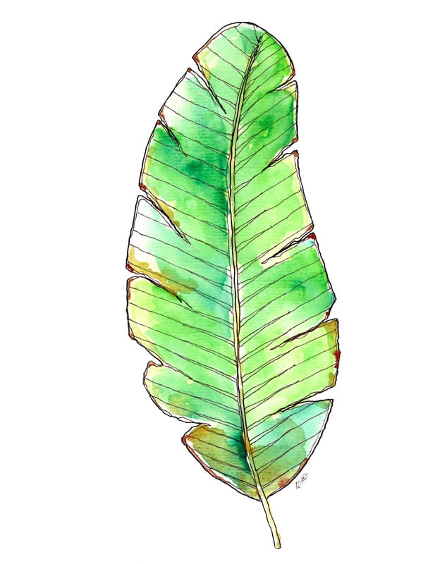 MUSA 2