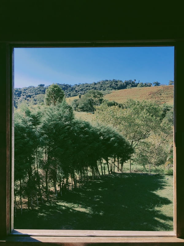 NATUREZA PELA JANELA