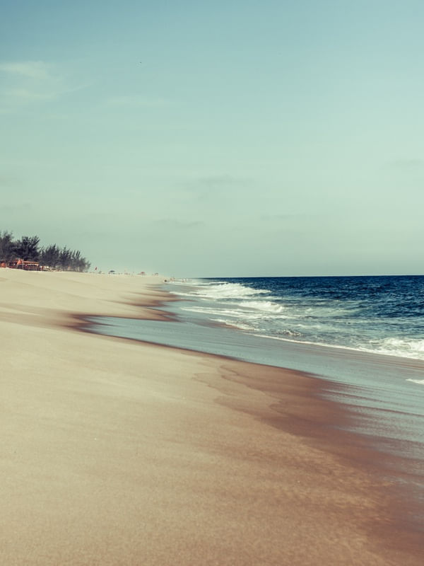 THE SAND