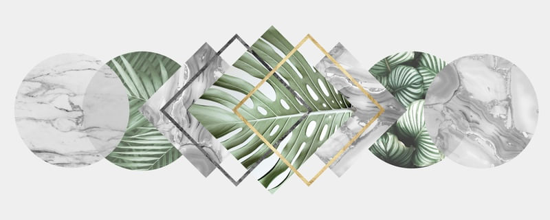 GEOMETRIA TROPICAL XIII