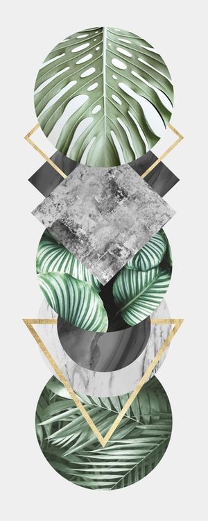 GEOMETRIA TROPICAL XIV