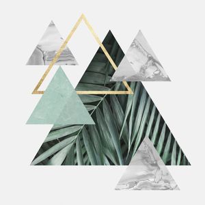 GEOMETRIA TROPICAL XIX