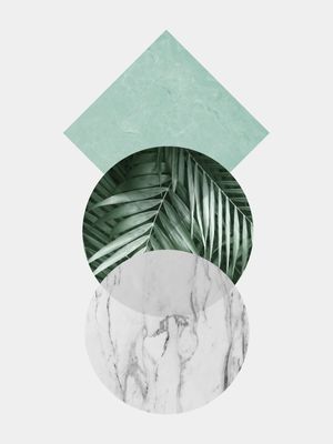 GEOMETRIA TROPICAL XVI
