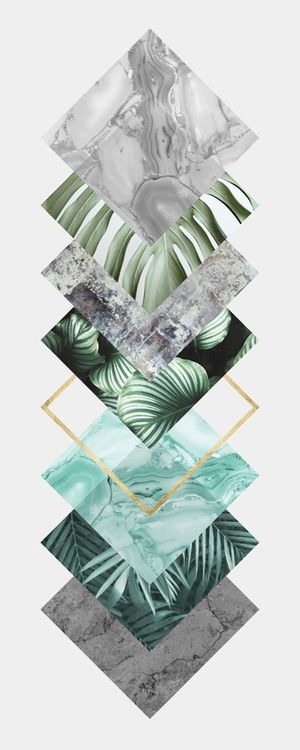 GEOMETRIA TROPICAL XVII
