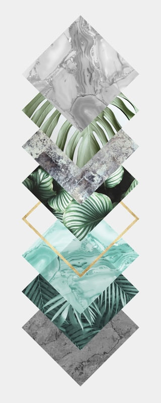 GEOMETRIA TROPICAL XVII
