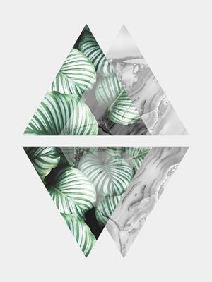 GEOMETRIA TROPICAL XVIII