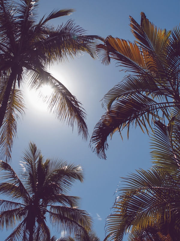 FELL LIKE SUMMER