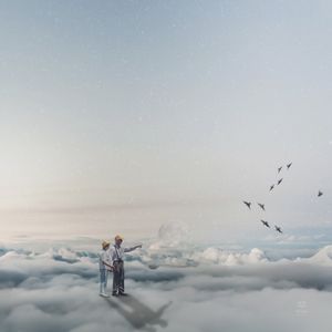 PÁSSAROS NAS NUVENS