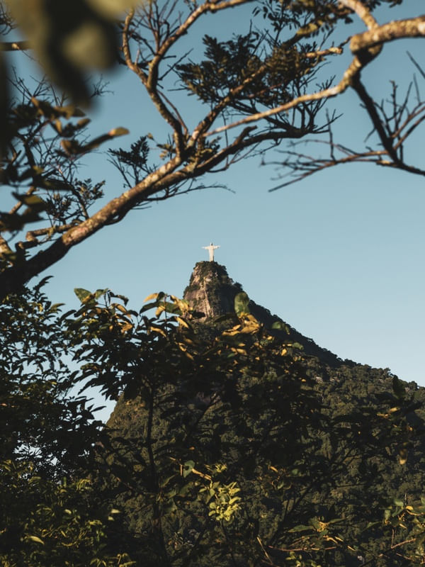 REDEEMER IN NATURE