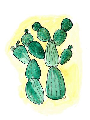 JARDIM DE CACTOS 4