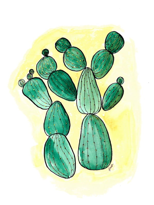 JARDIM DE CACTOS 4