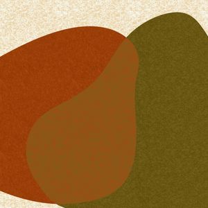 ARTE CONTORNOS MINIMALISTAS SÉRIE CORES TONS DE FERRUGEM VERDE OP 18