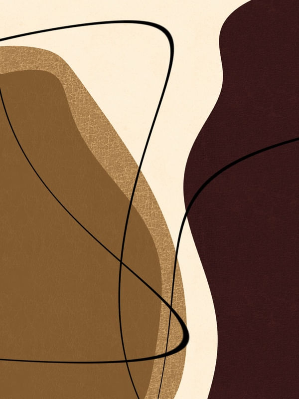 ARTE CONTORNOS MINIMALISTAS SÉRIE CORES TONS DE MARROM OCRE OP 19
