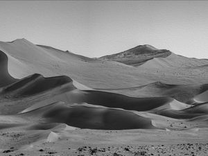 DESERTO - TEXTURIZADO PINTURA ÓLEO - PRETO E BRANCO 03
