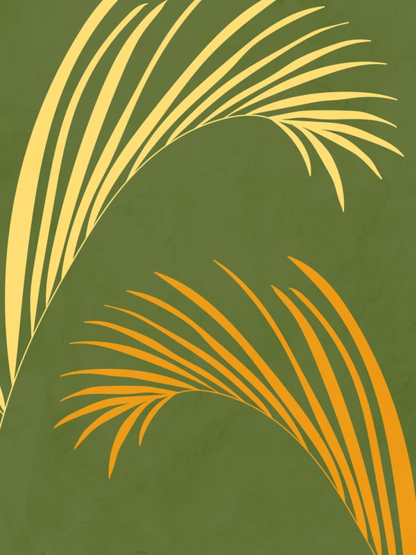 MINIMALISTA TROPICAL 1