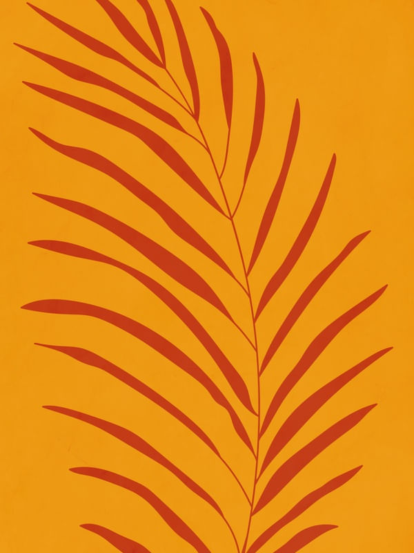 MINIMALISTA TROPICAL 2