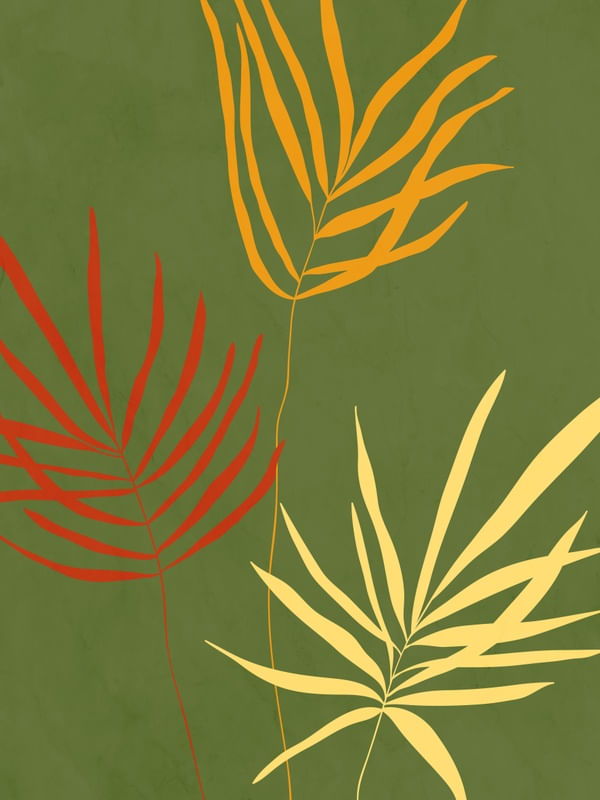 MINIMALISTA TROPICAL 3