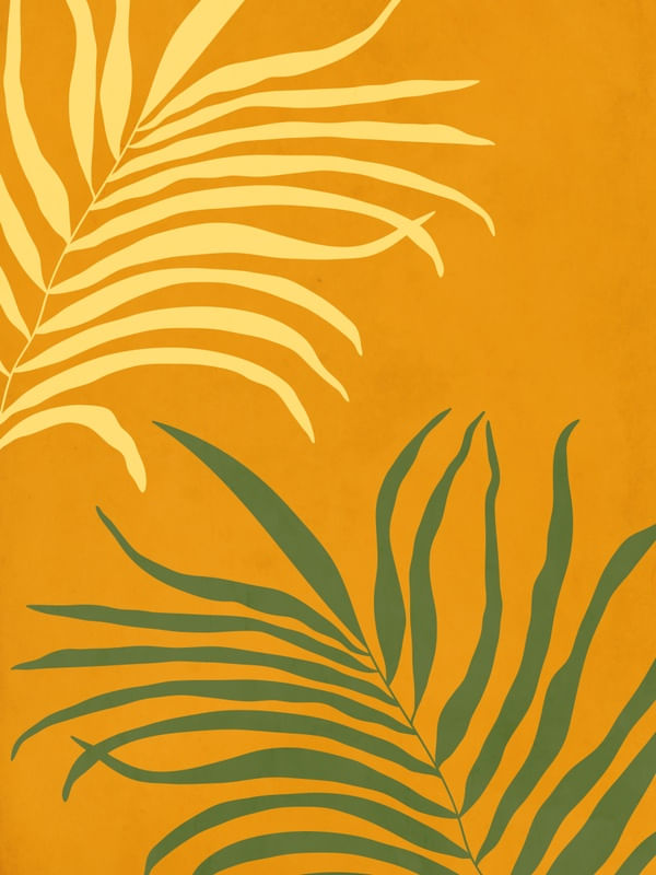 MINIMALISTA TROPICAL 4