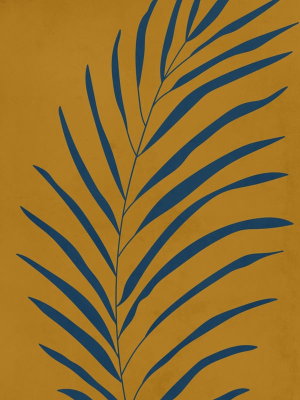 MINIMALISTA TROPICAL 6