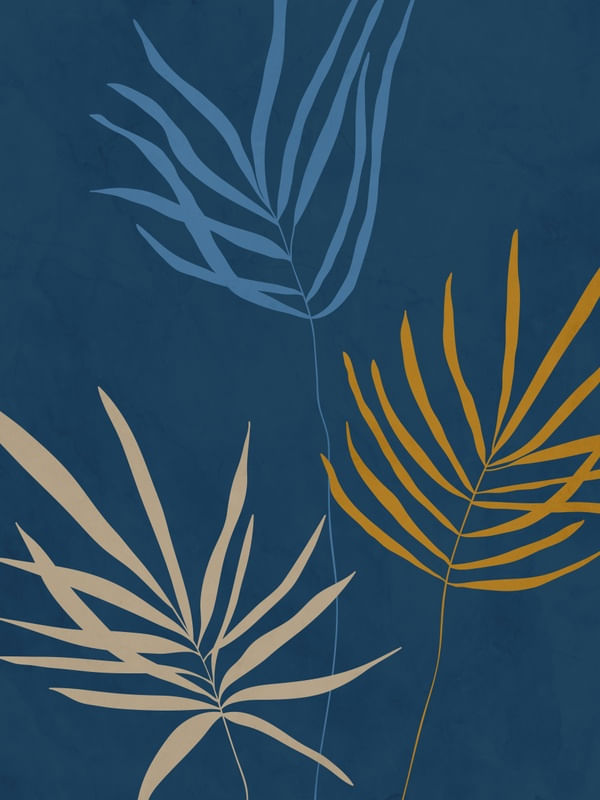 MINIMALISTA TROPICAL 7