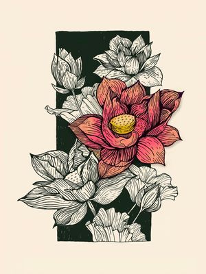 BOTÂNICO - FLOR DE LÓTUS