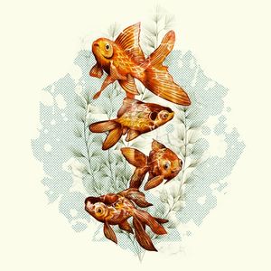 AQUÁRIO DE PEIXES JAPONÊS