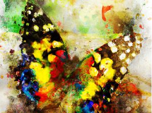 BORBOLETA AQUARELADA ABSTRATO II
