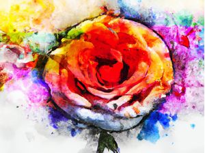 ROSA AQUARELADO ABSTRATO