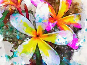PLUMERIA AQUARELADO ABSTRATO