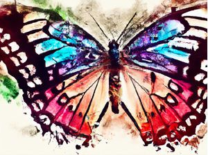 BORBOLETA AQUARELA I